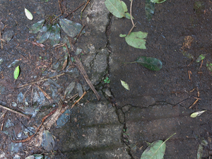 untitled, Old Pali Highway, Oahu 2019-20