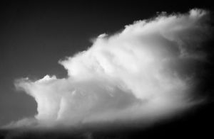 Cloud Bank at Sunset