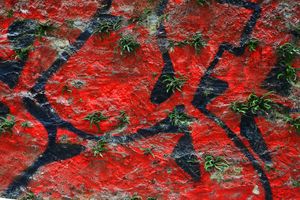 fragments 12