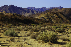 Ai/Ais - Richtersveld National Park
