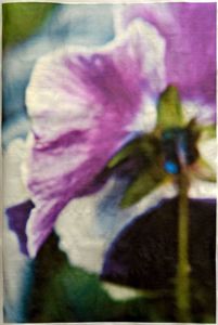 © Wendi Schneider "Pansy"