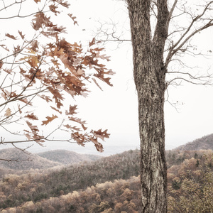 The Shenandoah Valley