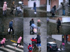 From my window. First snow.
