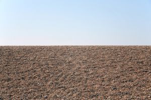 Textured horizon