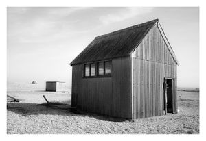 Dungeness #13