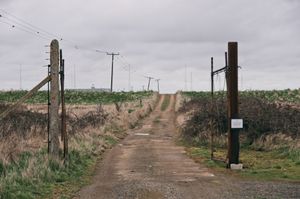 Untitled 8