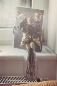 untitled from the series "Waiting for the Awakening"