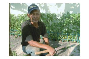 "Chico, gardener"