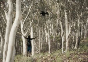 Black Birds and The Bushmen II