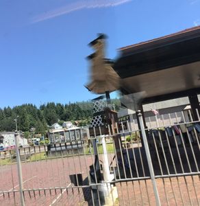 Glitch Station