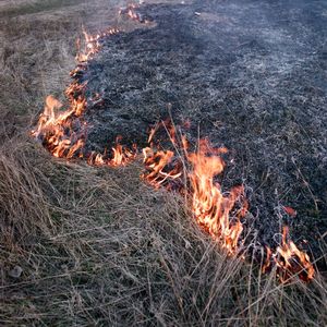 Work from series "Ilgas"