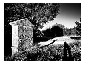 Shy soul - conversation with the afterlife