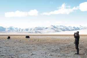 Yak Herder, Alichur, Tajikistan