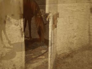 © Mildred Alpern