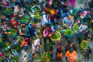 Spring Tea Market