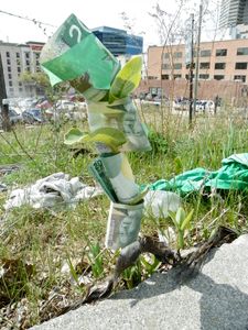 Camouflaged with $20s
