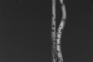 Theatre-7