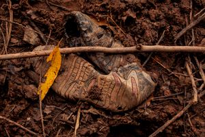 Footprints Nº2