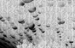 data_06