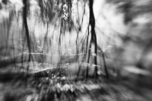 spirit rising