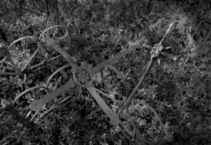 Dead Alentejo