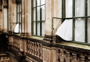 Open Windows   © Seán Duggan