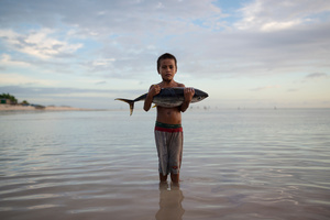Impact of overfishing #01