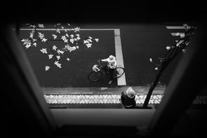 A peaceful street corner