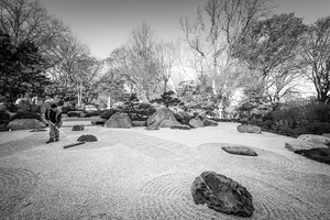 Museum of Fine Arts, Boston