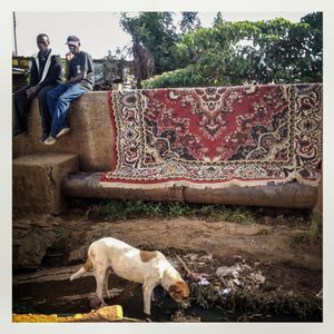 A dog scavenges as a rug dries in the sun in Kibera. The Kibera slum is the largest slum in Nairobi with around half a million inhabitants.