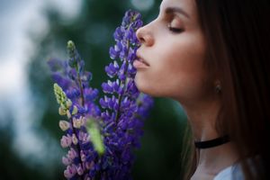 Lupin lover
