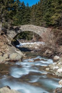 I Curve and Flow to Join the Brimming River—Tennyson