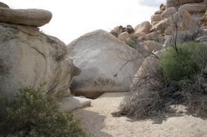 The Magical Society of Rocks #12
