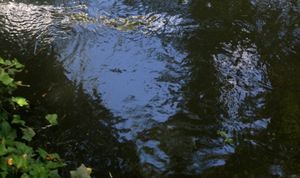 Water sprite "Ondine "