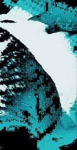 Metamorphosis 39