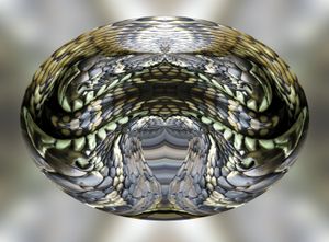 SHIELD OF TRANSFORMATION