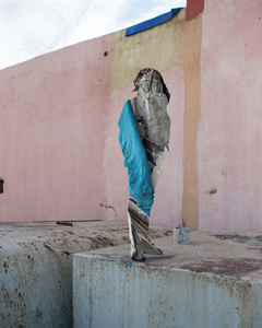 Moving Portraits