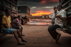 © Ricardo Teles