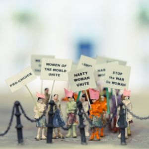 Pussy hats or Nasty Women