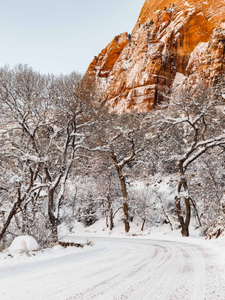 Zion National Park