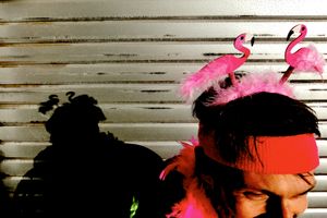 "PRETTY FLAMINGO"