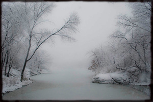 Winter Scene
