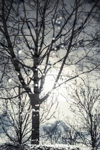 Winter © Davide Weber