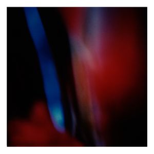 Twilight | Secret Life of Plants XX