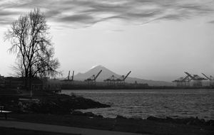 First Light Mt Rainier