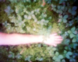 untitled, 2013, archival pigment print from large frormat pinhole negative   © DM Witman