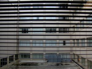 View from the hospital window
