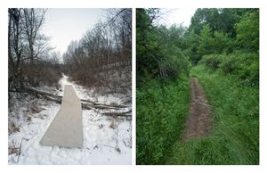 January/July Trail Experiment