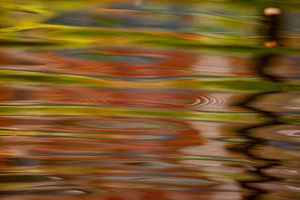 Impressioni d'autunno_03