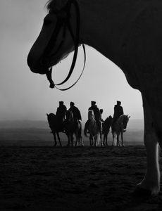 Horse's Power
